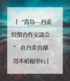 “青岛—丹麦经贸合作交流会” 在丹麦首都哥本哈根举行