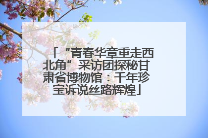 “青春华章重走西北角”采访团探秘甘肃省博物馆：千年珍宝诉说丝路辉煌