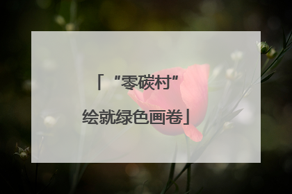 “零碳村” 绘就绿色画卷