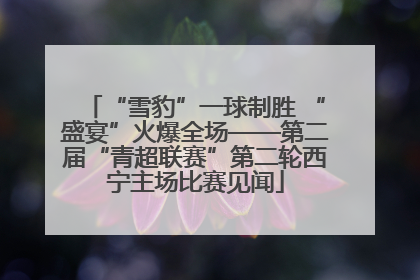 “雪豹”一球制胜 “盛宴”火爆全场——第二届“青超联赛”第二轮西宁主场比赛见闻