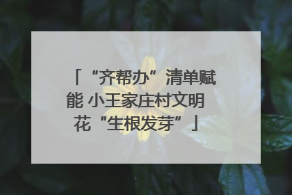 “齐帮办”清单赋能 小王家庄村文明花“生根发芽”