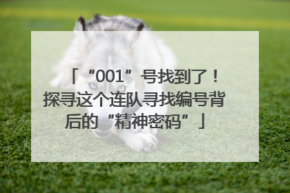 “001”号找到了！探寻这个连队寻找编号背后的“精神密码”