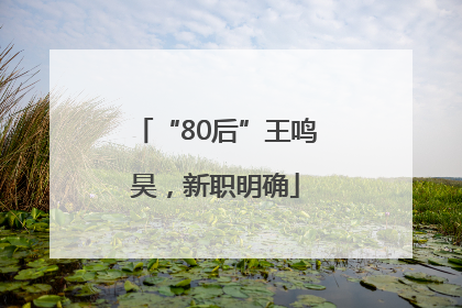 “80后”王鸣昊，新职明确
