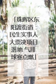 珠晖区东阳渡街道：民生实事人大票决项目落地 气排球赛点燃
