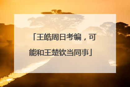 王皓周日考编，可能和王楚钦当同事