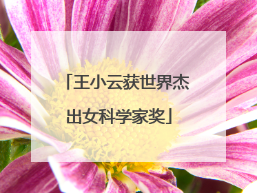 王小云获世界杰出女科学家奖