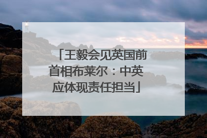 王毅会见英国前首相布莱尔：中英应体现责任担当
