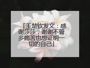 王楚钦发文：感谢莎莎，谢谢不管多痛苦也想证明一切的自己