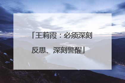 王莉霞：必须深刻反思、深刻警醒