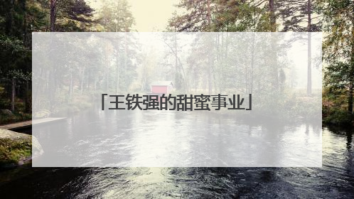 王铁强的甜蜜事业
