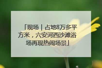现场｜占地8万多平方米，六安河西沙滩浴场再现热闹场景