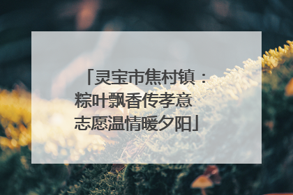 灵宝市焦村镇：粽叶飘香传孝意 志愿温情暖夕阳
