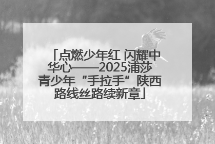 点燃少年红 闪耀中华心——2025浦莎青少年“手拉手”陕西路线丝路续新章