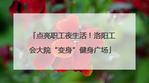 点亮职工夜生活！洛阳工会大院“变身”健身广场