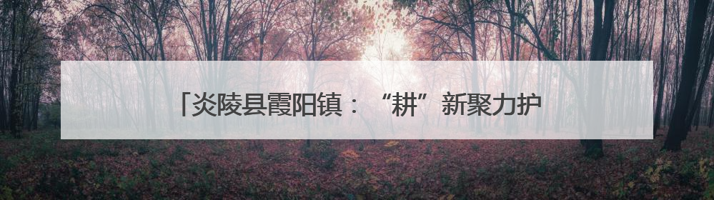 炎陵县霞阳镇：“耕”新聚力护粮仓 筑牢粮食安全“压舱石”