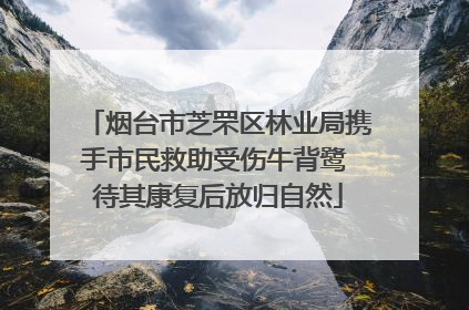 烟台市芝罘区林业局携手市民救助受伤牛背鹭 待其康复后放归自然