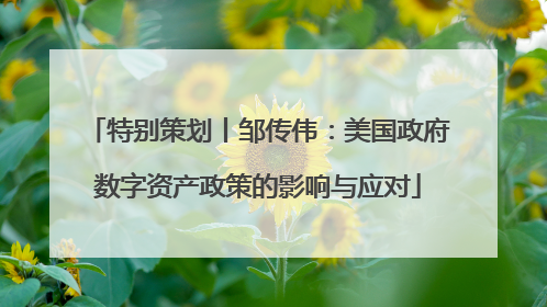 特别策划丨邹传伟：美国政府数字资产政策的影响与应对