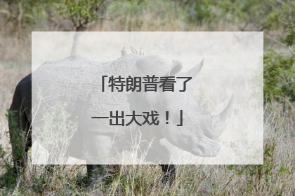 特朗普看了一出大戏！