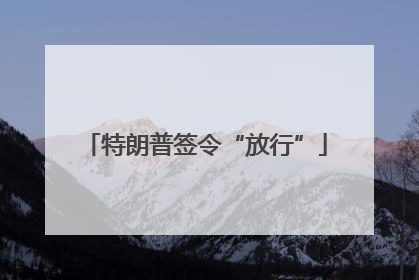 特朗普签令“放行”