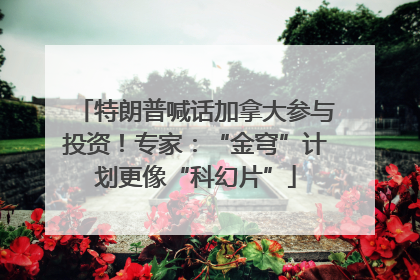 特朗普喊话加拿大参与投资！专家：“金穹”计划更像“科幻片”