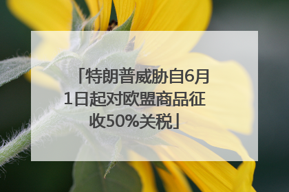 特朗普威胁自6月1日起对欧盟商品征收50%关税