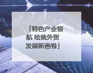 特色产业领航 绘就外贸发展新画卷