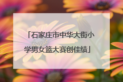 石家庄市中华大街小学男女篮大赛创佳绩