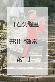 石头缝里开出“致富花”