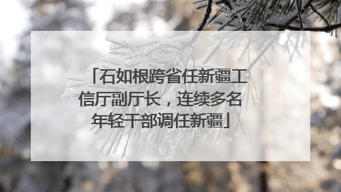 石如根跨省任新疆工信厅副厅长，连续多名年轻干部调任新疆