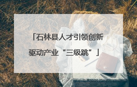 石林县人才引领创新驱动产业“三级跳”