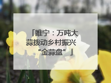 睢宁：万吨大蒜拨动乡村振兴“金蒜盘”