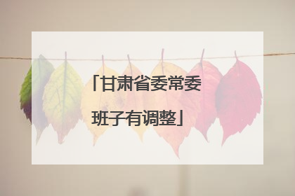 甘肃省委常委班子有调整