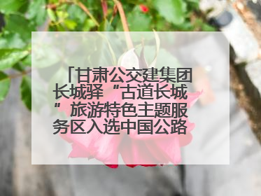 甘肃公交建集团长城驿“古道长城”旅游特色主题服务区入选中国公路学会“2025年度交通与旅游融合创新项目”