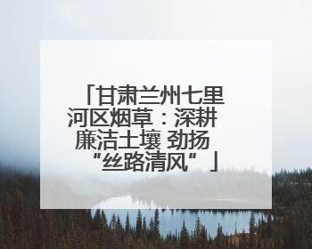 甘肃兰州七里河区烟草：深耕廉洁土壤 劲扬“丝路清风”