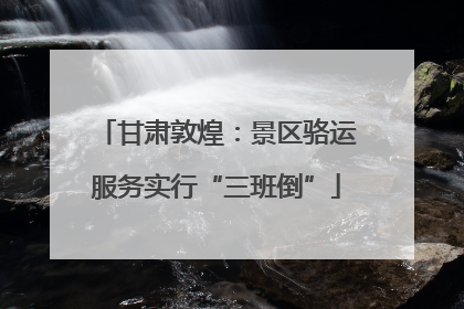 甘肃敦煌：景区骆运服务实行“三班倒”