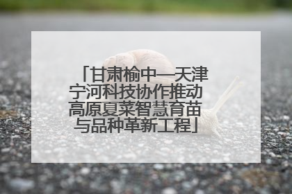 甘肃榆中—天津宁河科技协作推动高原夏菜智慧育苗与品种革新工程
