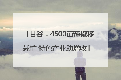 甘谷：4500亩辣椒移栽忙 特色产业助增收
