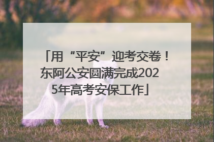 用“平安”迎考交卷！东阿公安圆满完成2025年高考安保工作