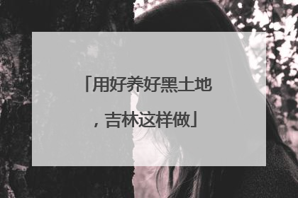 用好养好黑土地，吉林这样做