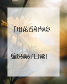 用花香和绿意编织美好日常