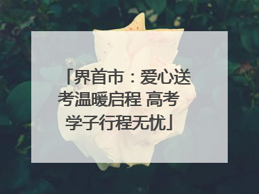 界首市：爱心送考温暖启程 高考学子行程无忧
