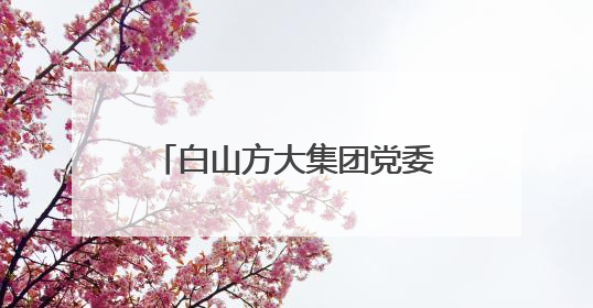 白山方大集团党委开展2025年“七一”看望慰问抗美援朝老兵活动