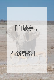 白敬亭，有新身份