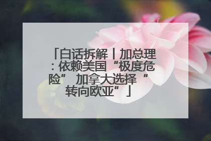 白话拆解丨加总理：依赖美国“极度危险” 加拿大选择“转向欧亚”