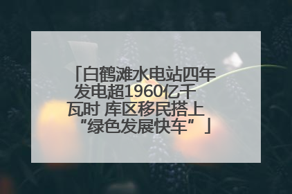 白鹤滩水电站四年发电超1960亿千瓦时 库区移民搭上“绿色发展快车”