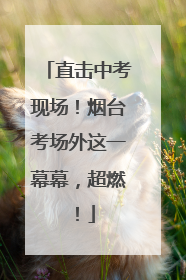 直击中考现场！烟台考场外这一幕幕，超燃！