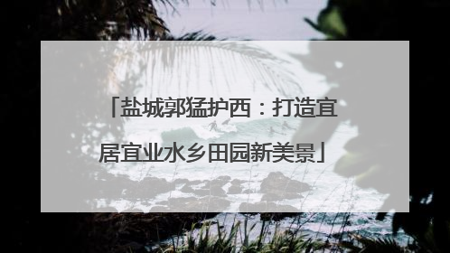 盐城郭猛护西：打造宜居宜业水乡田园新美景