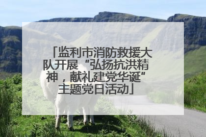 监利市消防救援大队开展“弘扬抗洪精神，献礼建党华诞”主题党日活动