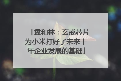 盘和林：玄戒芯片为小米打好了未来十年企业发展的基础