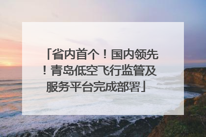 省内首个！国内领先！青岛低空飞行监管及服务平台完成部署